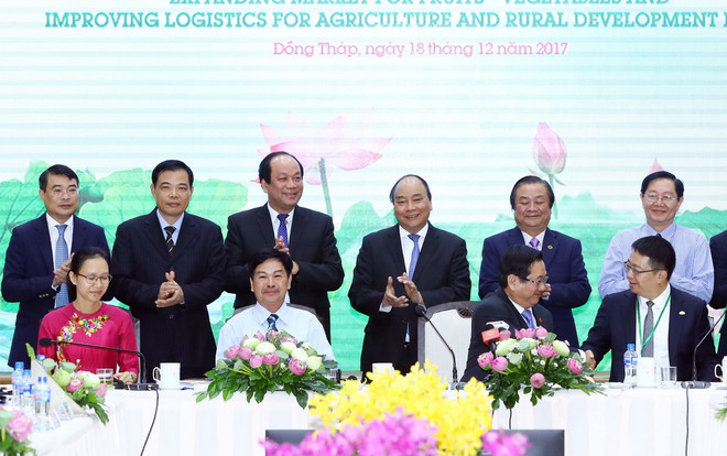 Thủ tướng: Chi phí logistics cao, ảnh hưởng đến giá thành sản phẩm ảnh 1