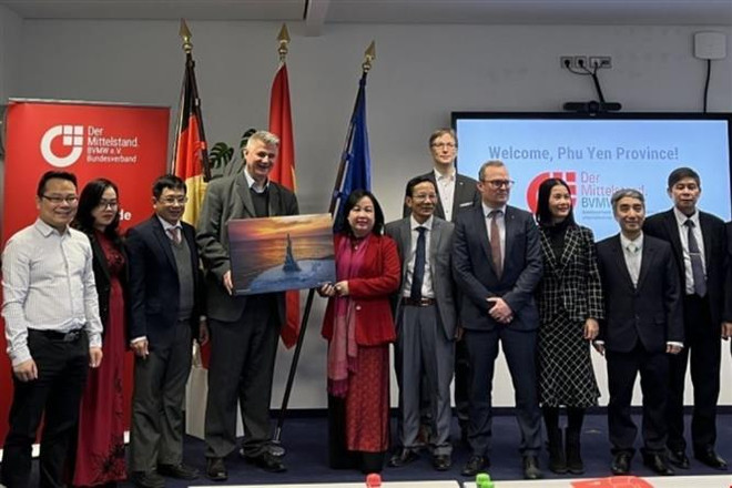 Doanh nghiệp Đức ấn tượng về tiềm năng phát triển của tỉnh Phú Yên ảnh 1