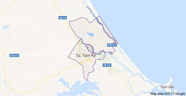 Quảng Nam: Kịp thời dập tắt một đám cháy khi chủ nhà đi vắng ảnh 1