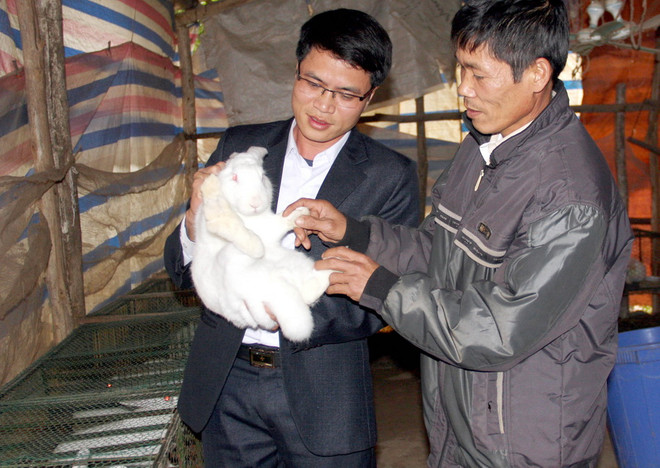 80% đội viên dự án 600 Phó Chủ tịch xã đã được bố trí làm công chức ảnh 1