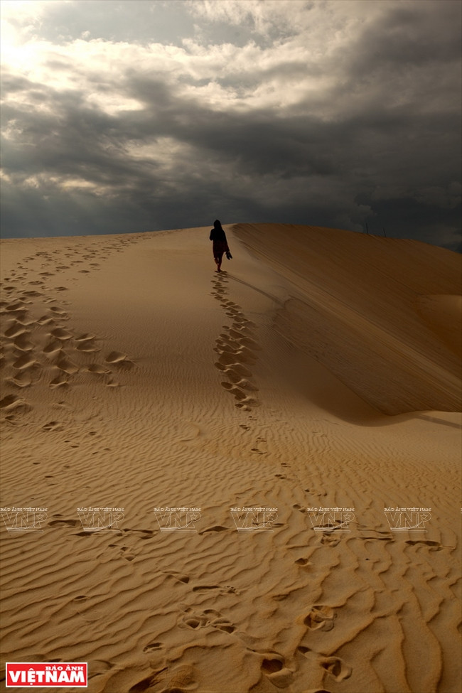 Trải nghiệm cảm giác mạnh đua xe địa hình trên cát ở Bàu Trắng ảnh 10