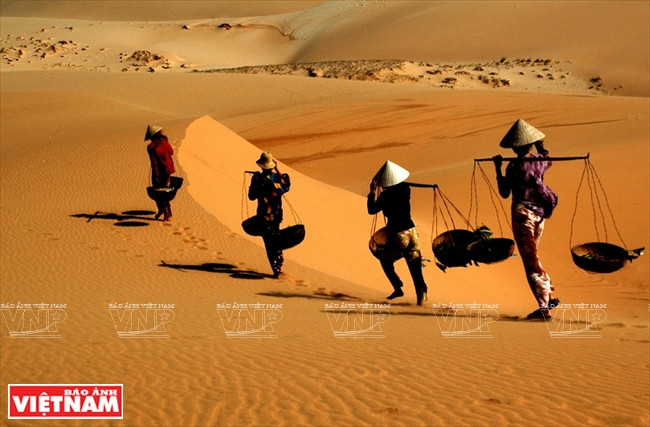 Trải nghiệm cảm giác mạnh đua xe địa hình trên cát ở Bàu Trắng ảnh 5