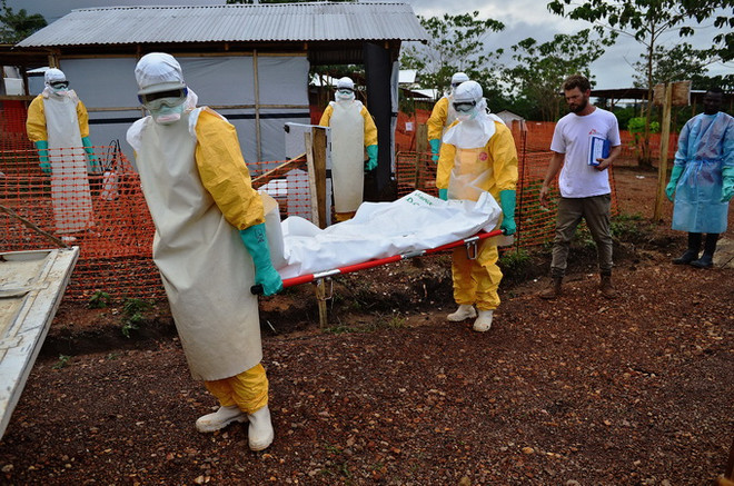 Australia đóng góp 1 triệu AUD cho WHO kiểm soát dịch Ebola ảnh 1
