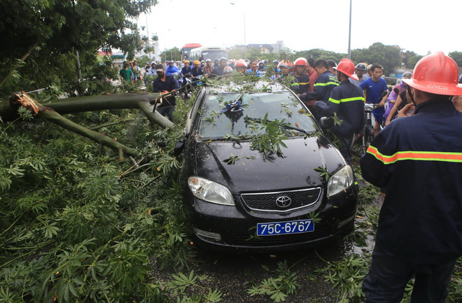Các tỉnh ven biển đang chạy đua thời gian ứng phó bão số 10 ảnh 2