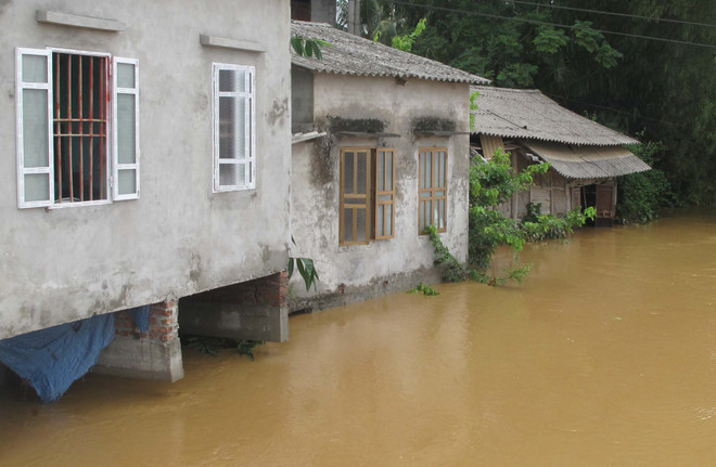 Phú Thọ: Hàng trăm tấn cá đặc sản bị chết do mưa lũ ảnh 1