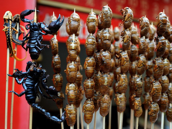 Côn trùng có thể trở thành thực phẩm dinh dưỡng thay thế ảnh 1