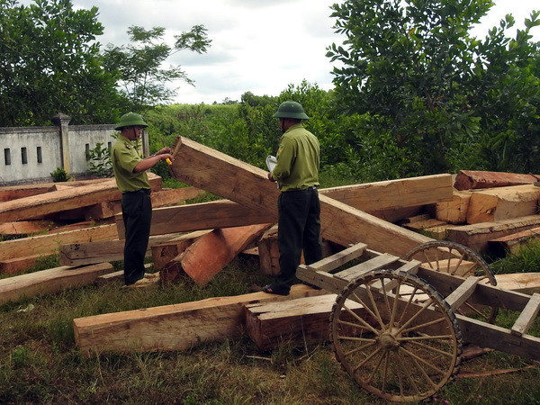 [Video] Triệu tập 3 đối tượng trong vụ truy sát cán bộ rừng Lâm Đồng ảnh 1