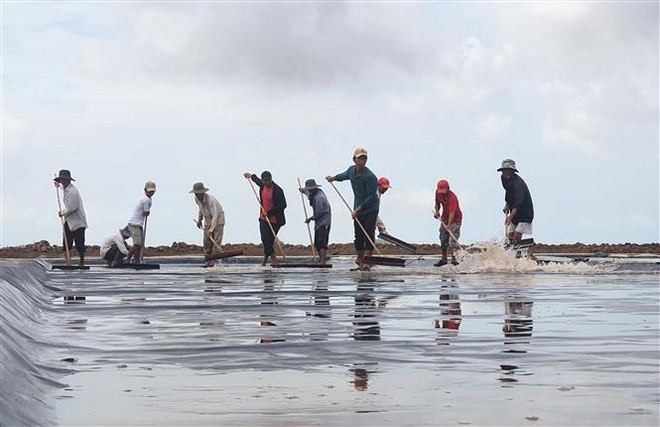 Nghề muối tại Bạc Liêu: Canh cánh những nỗi lo cũ với diêm dân ảnh 3