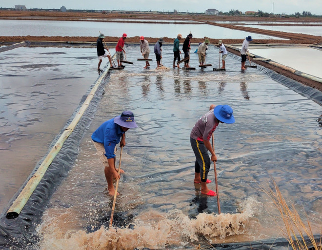 Nghề muối tại Bạc Liêu: Canh cánh những nỗi lo cũ với diêm dân ảnh 2