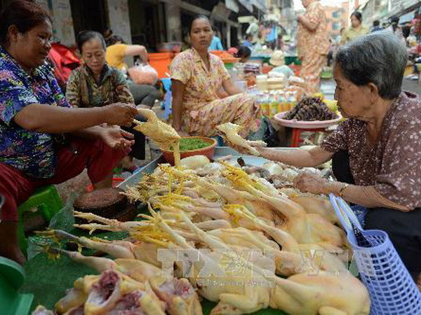 Trung Quốc ghi nhận 6 trường hợp nhiễm virus cúm gia cầm H5N6 ảnh 1