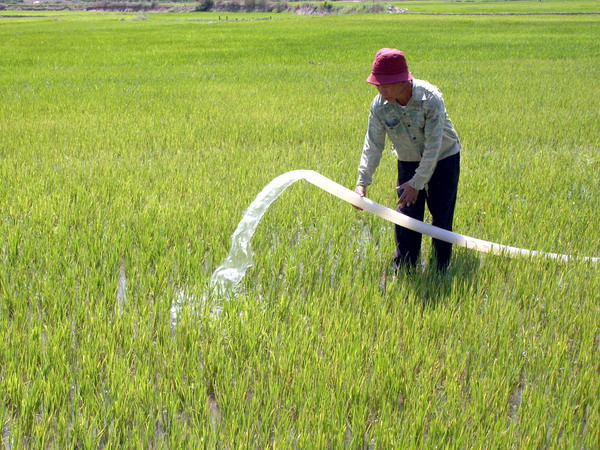 Trung Bộ triển khai công tác chống hạn, xâm nhập mặn ảnh 1