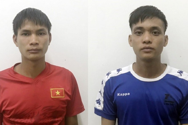 Quảng Ninh: Phạt tù 3 bố con chặt phá rừng phòng hộ ảnh 1