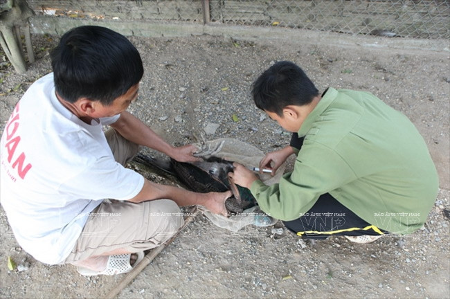 [Photo] Đến thăm Khu bảo tồn chim tư nhân lớn nhất Việt Nam ảnh 9