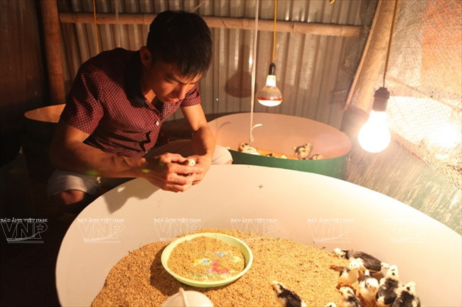 [Photo] Đến thăm Khu bảo tồn chim tư nhân lớn nhất Việt Nam ảnh 13