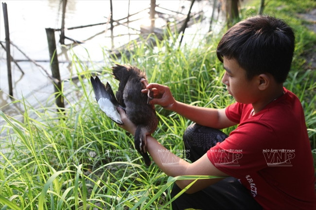 [Photo] Đến thăm Khu bảo tồn chim tư nhân lớn nhất Việt Nam ảnh 3