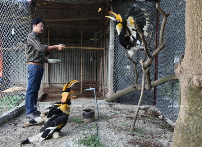[Photo] Đến thăm Khu bảo tồn chim tư nhân lớn nhất Việt Nam ảnh 10