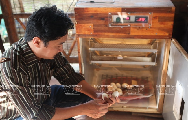 [Photo] Đến thăm Khu bảo tồn chim tư nhân lớn nhất Việt Nam ảnh 12