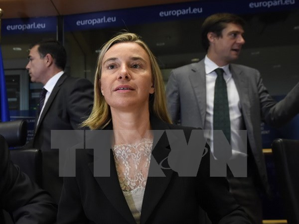 Ngoại trưởng EU nhất trí mở rộng danh sách trừng phạt nhằm vào Nga&nbsp; ảnh 1