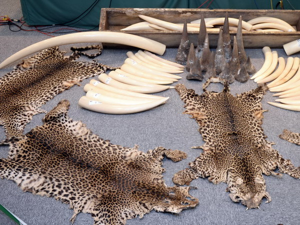 Người Trung Quốc đổ xô tới Đông Nam Á mua thịt hổ và tay gấu ảnh 1