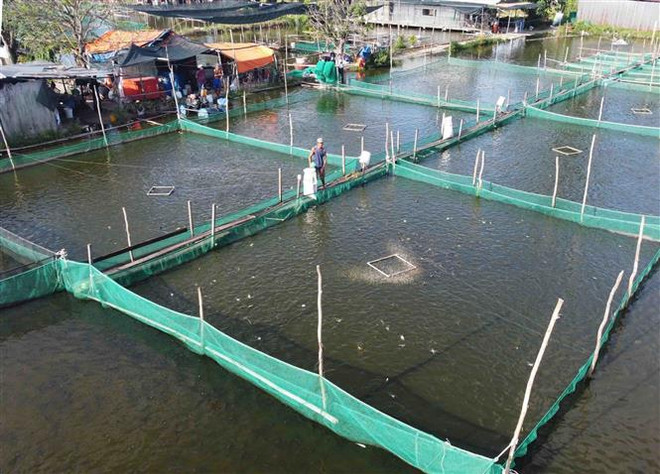 Ngăn ngừa ô nhiễm môi trường từ các cơ sở chế biến thủy sản quy mô nhỏ ảnh 2