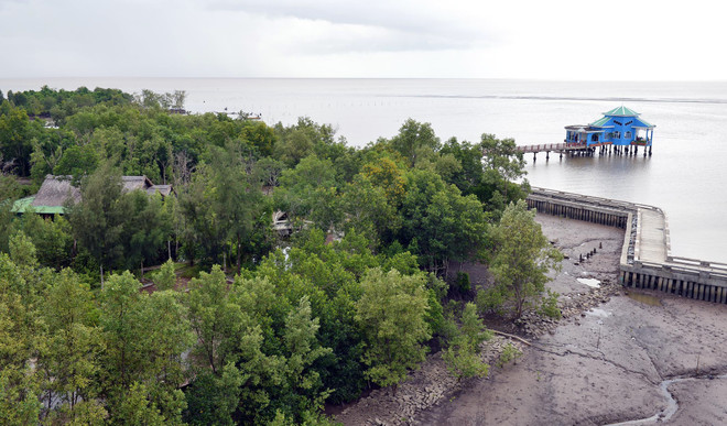 Đồng bằng sông Cửu Long nguy cơ ngập chìm dưới biển ảnh 1