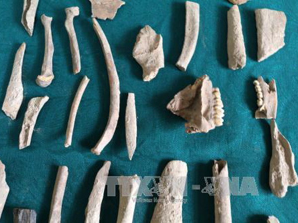 Khai quật khảo cổ học di chỉ tiền sử hang Pắc Tà ở Hà Giang ảnh 4