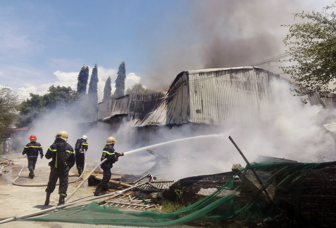 Lửa thiêu rụi nhà máy chế biến bã mía, một công nhân bị thương nặng ảnh 1