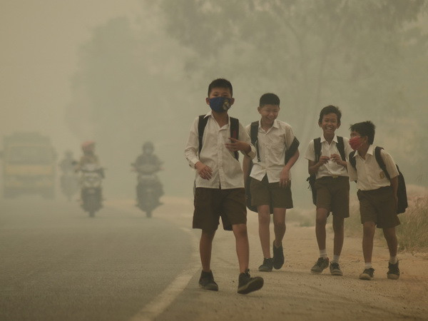 Indonesia cần 3 năm nữa để giải quyết triệt để nạn cháy rừng ảnh 1