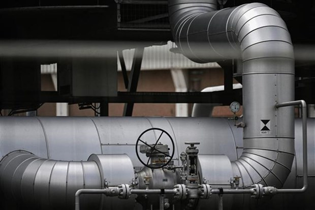 Đức đã tránh được “kịch bản xấu nhất” về suy thoái kinh tế ảnh 1