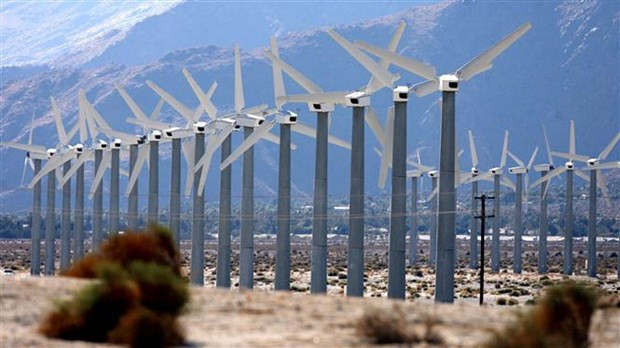Cánh đồng turbin gió ở gần Palm Springs, California (Mỹ). (Ảnh: AFP/TTXVN) UAE và Mỹ phân bổ 20 tỷ USD cho các dự án năng lượng sạch ảnh 1