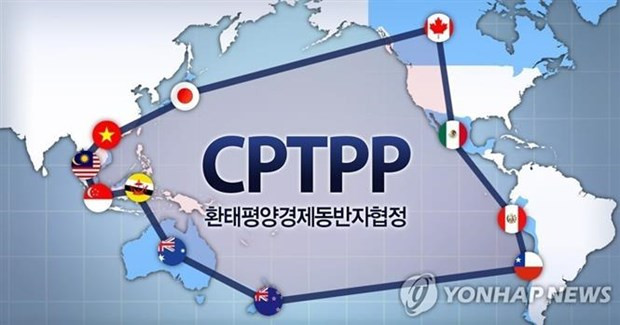 Biểu tượng CPTPP và quốc kỳ 11 nước thành viên gồm Australia, Brunei, Canada, Chile, Nhật Bản, Malaysia, Mexico, New Zealand, Peru, Singapore và Việt Nam. (Ảnh: Yonhap/TTXVN) Nhật Bản kêu gọi Mỹ quay lại với TPP vì "trật tự kinh tế công bằng" ảnh 2