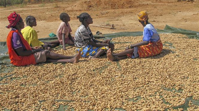 WB lập nhóm thu hút vốn tư nhân cho quỹ chống biến đổi khí hậu ảnh 1