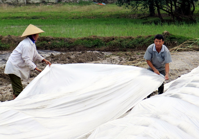 Không khí lạnh ảnh hưởng các tỉnh miền núi phía Bắc, trời rét ảnh 1