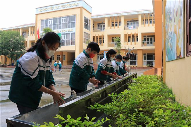 Chăm sóc sức khỏe học đường - vì tương lai một Việt Nam khỏe mạnh ảnh 3