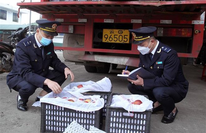 Thu ngân sách từ xuất nhập khẩu tăng hơn 22% trong quý 1 năm 2022 ảnh 1