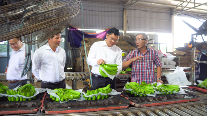 Nông thôn mới góp phần "thay da đổi thịt" tỉnh Bà Rịa-Vũng Tàu ảnh 4