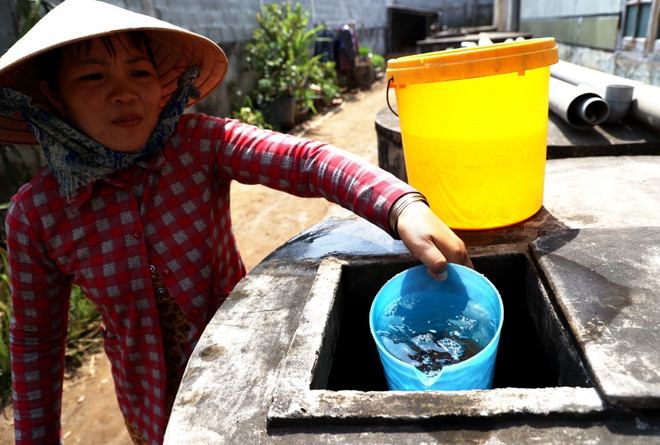 Người dân ở Bến Tre nói riêng và Đồng bằng Sông Cửu Long nhiều năm nay đã thích nghi, chủ động ứng phó, sống chung với hạn, mặn. (Ảnh: Hồng Đạt/TTXVN) ben tre_han_man.jpg