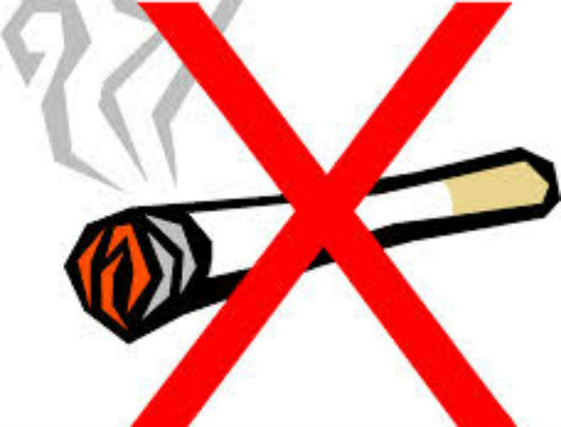 Liên hợp quốc kêu gọi chấm dứt tình trạng buôn lậu thuốc lá ảnh 1