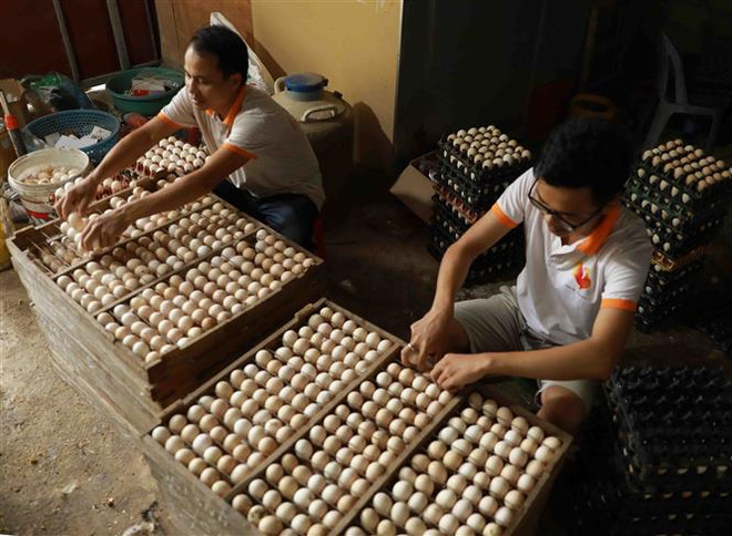 VCCI: Cần thận trọng trong rà soát, sửa đổi các luật về thuế ảnh 1