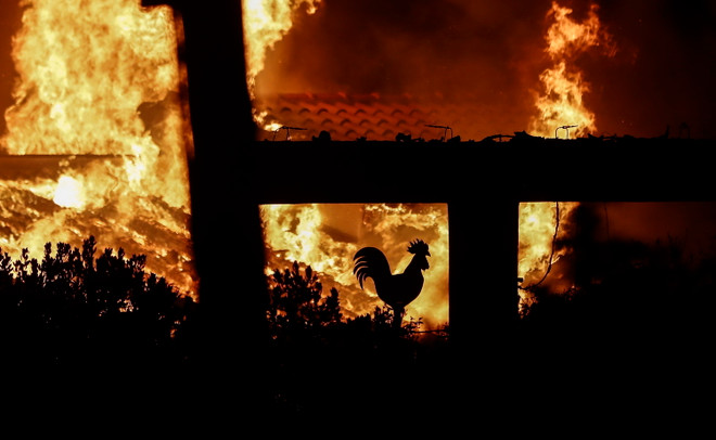 Số thương vong trong vụ cháy rừng tại Hy Lạp tăng lên 200 người ảnh 1