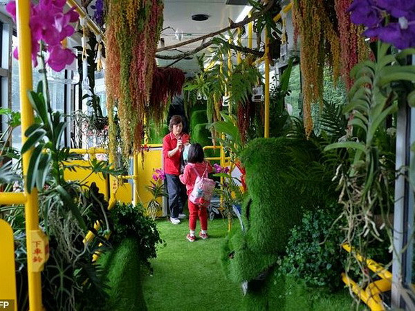 Đẹp hút hồn với những khu rừng di động bên trong xe bus ở Đài Bắc ảnh 1
