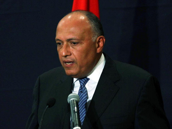 Ai Cập bác tin nhượng lãnh thổ để lập nhà nước Palestine ảnh 1