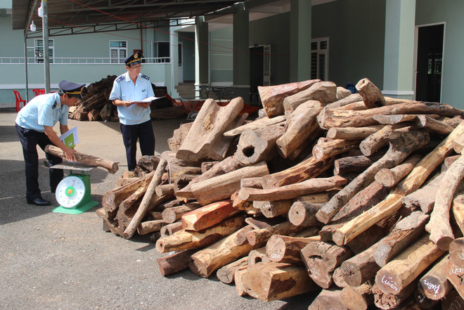 Tăng 29%, thu ngân sách ngành hải quan tháng Một đạt 32.500 tỷ đồng ảnh 1