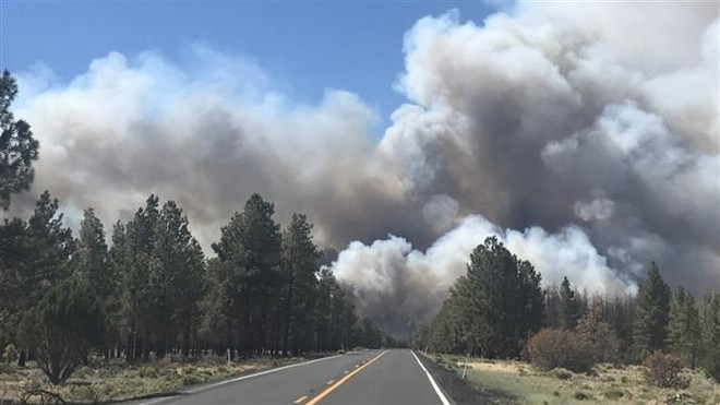 Mỹ: Hàng trăm người sơ tán do cháy rừng lớn tại bang Arizona ảnh 1