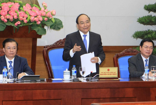 Xử mức phạt cao nhất với hành vi dùng chất cấm trong chăn nuôi ảnh 1