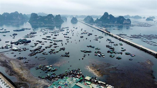 Yêu cầu kiểm tra tàu, xuồng hết đăng kiểm hoạt động ở Quảng Ninh ảnh 1