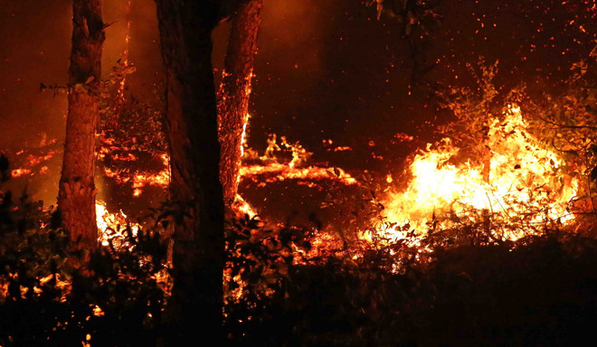 Quảng Ninh: Đang cháy dữ dội ở khu vực rừng thông tại Đại Yên ảnh 1