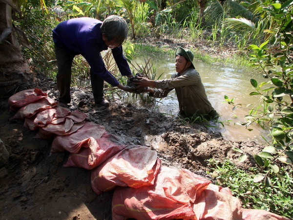 Phê duyệt dự án cấp nước an toàn vùng đồng bằng sông Cửu Long ảnh 1