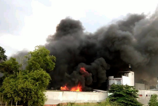 TP.HCM: Cháy lớn thiêu rụi toàn bộ xưởng chứa tôm đông lạnh ảnh 1