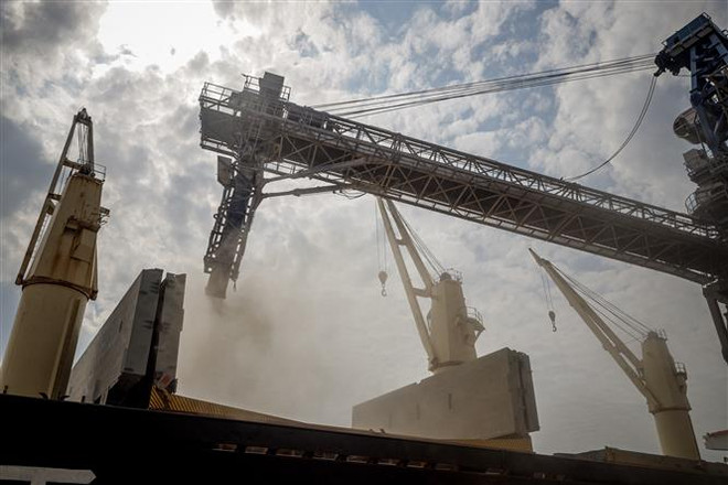 LHQ: Gia hạn thỏa thuận xuất khẩu ngũ cốc qua Biển Đen là cấp thiết ảnh 1